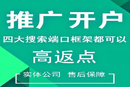 SEM代运营公司助力企业高效推广案例解析